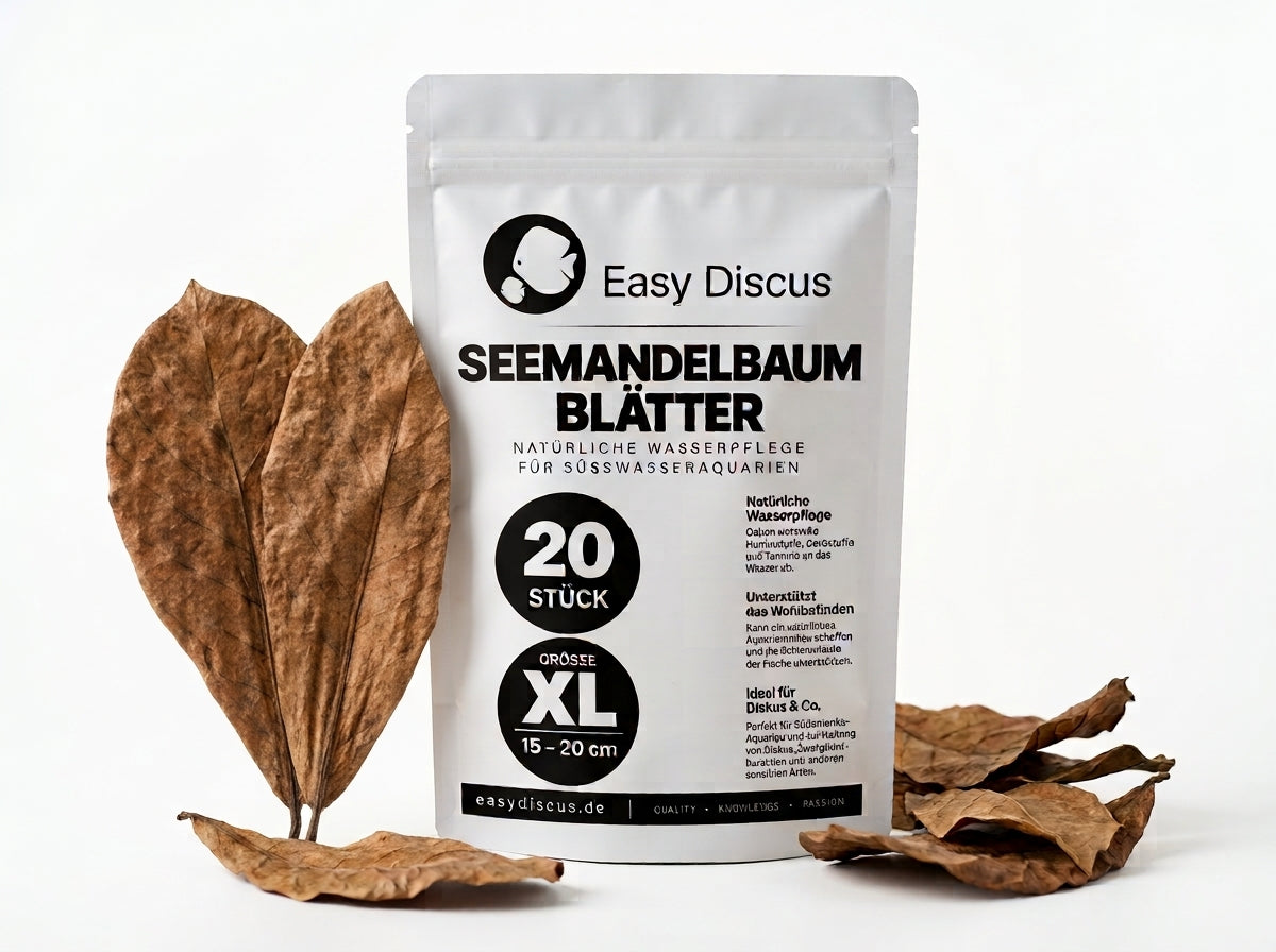 Seemandelbaumblätter XL (15–20 cm) – 20 Stück Catappa Leaves
