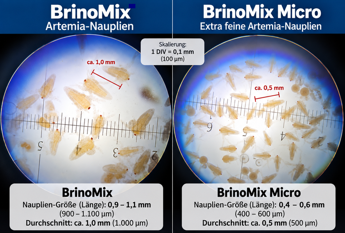 BrinoMix Micro – extra feine Artemia-Nauplien für kleinste Fischlarven
