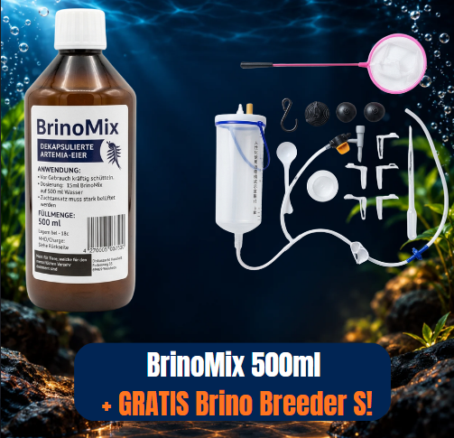 BrinoMix
