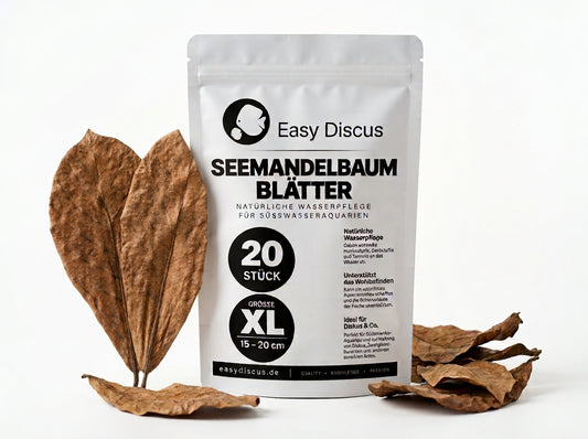 Seemandelbaumblätter XL (15–20 cm) – 20 Stück Catappa Leaves