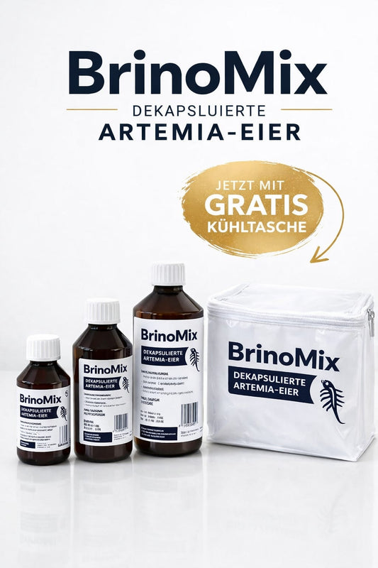BrinoMix