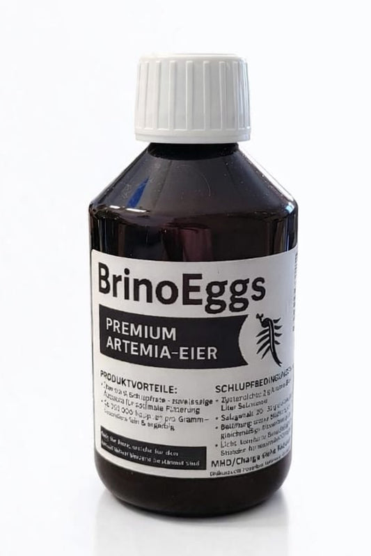 BrinoEggs Artemia Eier